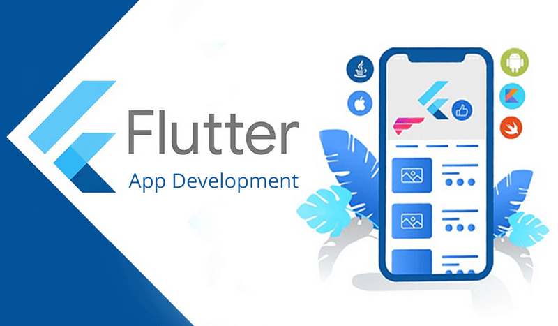 flutter developer
