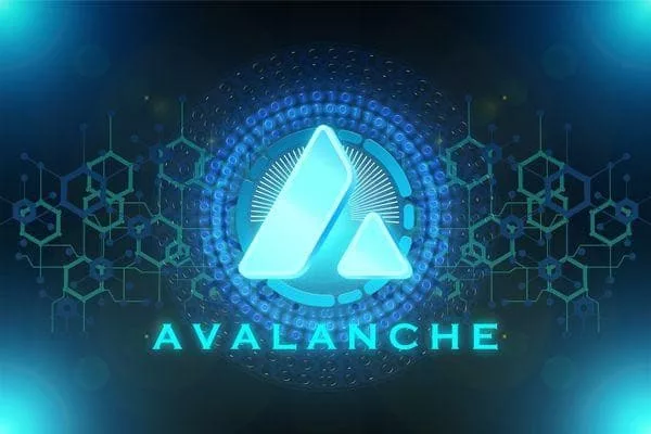 Avalanche blockchain platforms