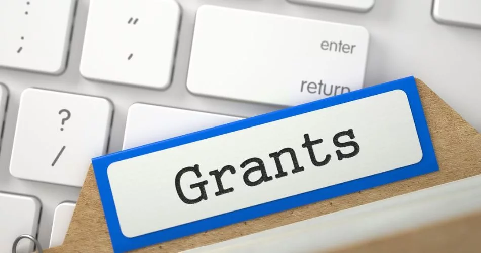 Guide to Applying for Government Business Grants in Singapore