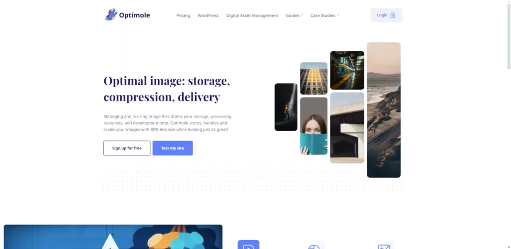 image optimization plugins Optimole